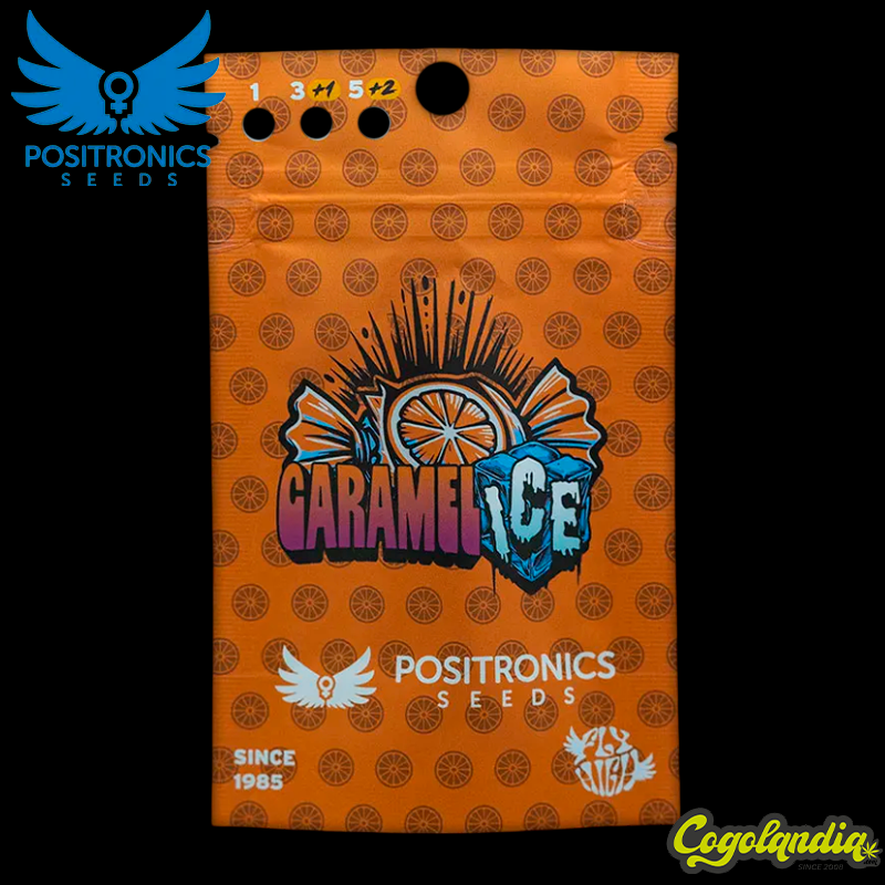 Caramelice - Positronics Positronics Feminizadas, Semillas de