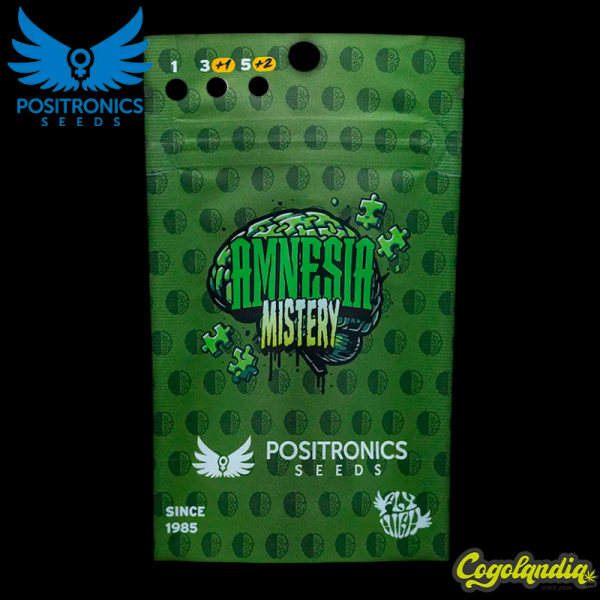 Amnesia Mistery - Positronics