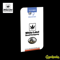 Gelato n420 - White label