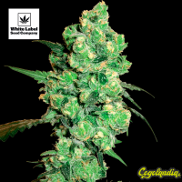 Super Skunk - White Label