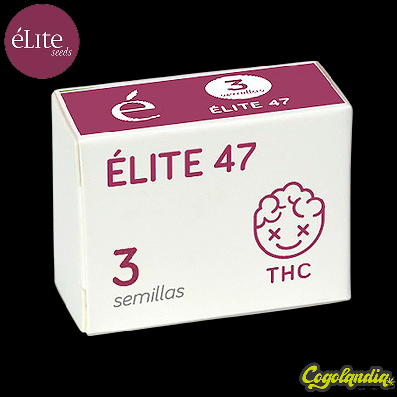 Élite 47