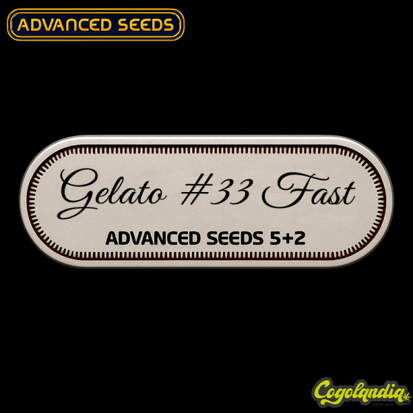 Gelato n33 Fast - Advanced Seeds