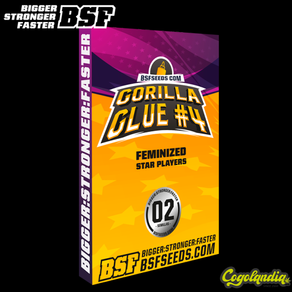 Gorilla Glue 4 - BSF Seeds