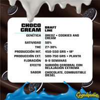 Choco Cream - BSF