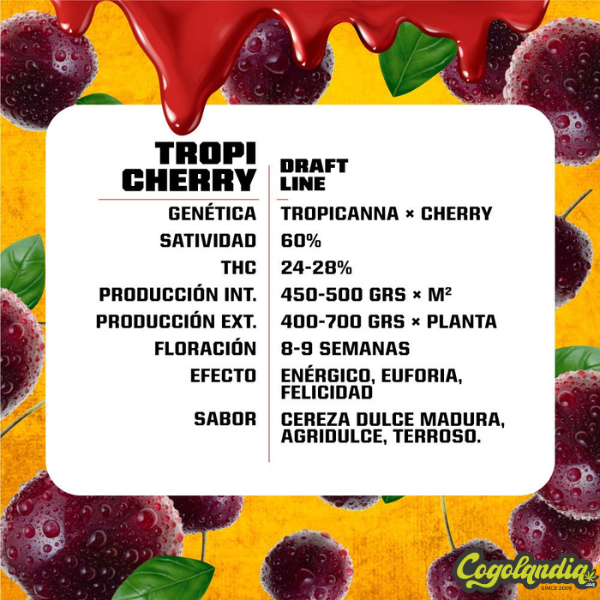 Tropicherry - BSF Seeds 