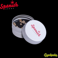 Black Domina x Early Skunk - Spanish Seeds Semillas Feminizadas