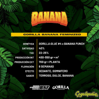 Gorilla Banana - BSF Seeds Semillas Feminizadas