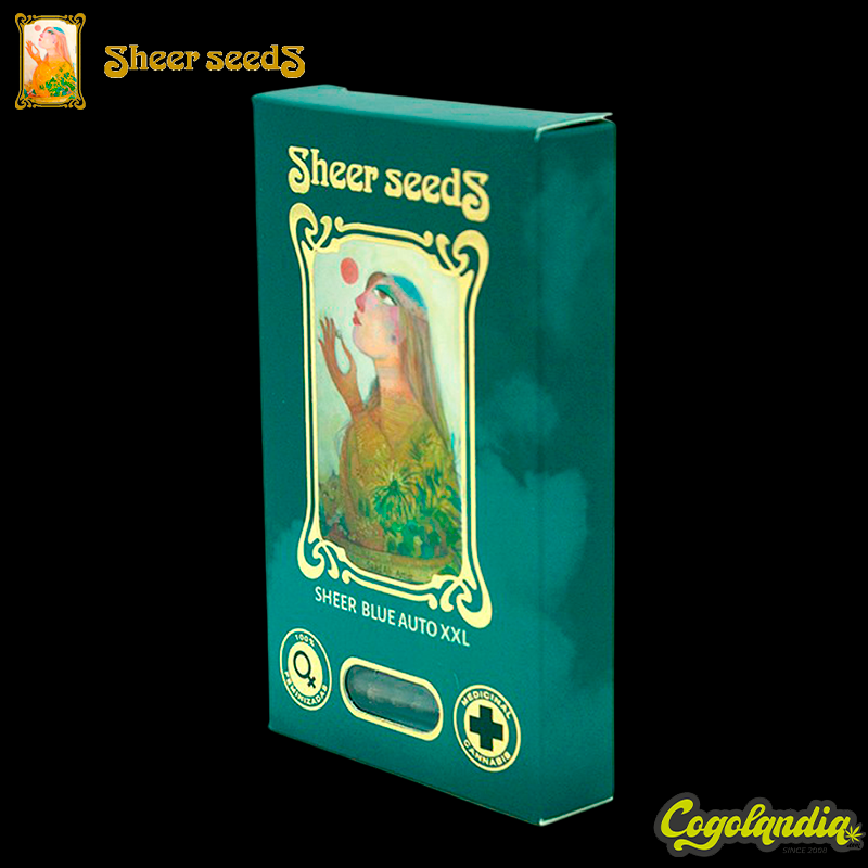 Sheer Blue Auto XXL - Sheer Seeds Semillas autoflorecientes