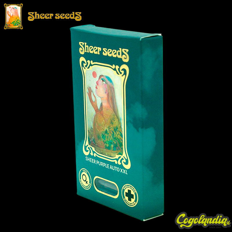 Sheer Purple Auto XXL - Sheer Seeds