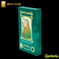 Sheer Sirup Auto XXL - Sheer Seeds Semillas autoflorecientes