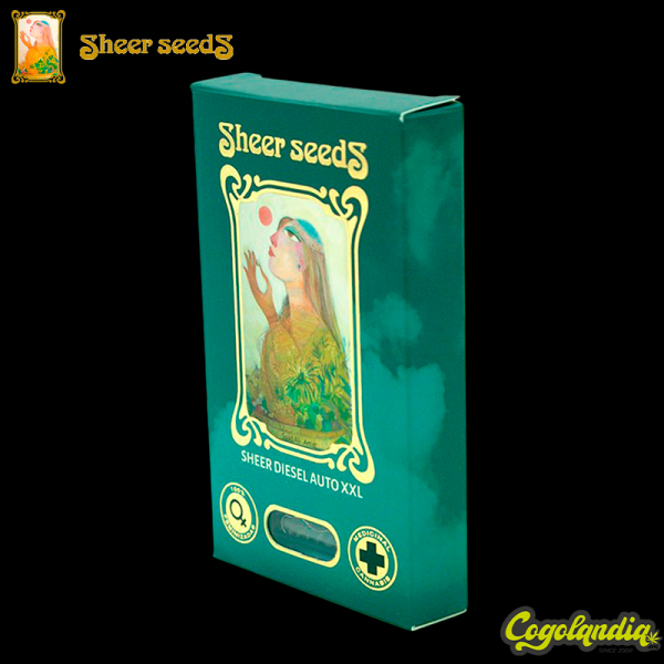 Sheer Diesel Auto XXL - Sheer Seeds