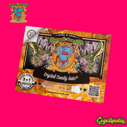 Crystal Candy Auto - Sweet Seeds Semillas autoflorecientes