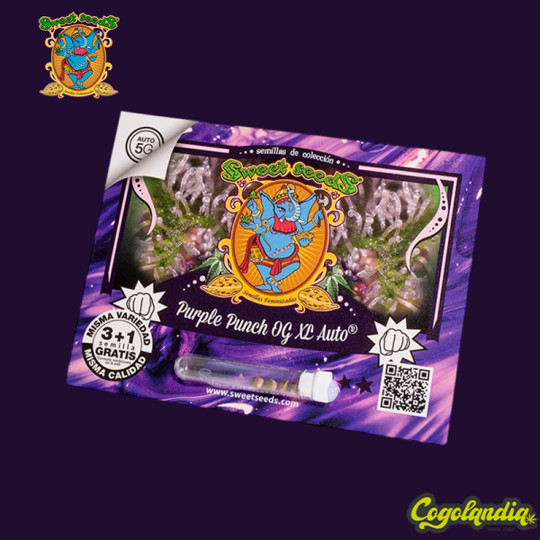 Purple Punch OG XL Auto - Sweet Seeds Semillas autoflorecientes