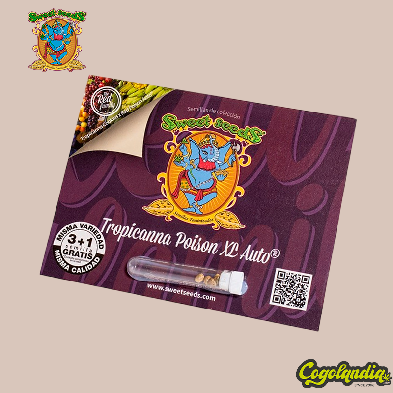 Tropicanna Poison XL Auto - Sweet Seeds Semillas
