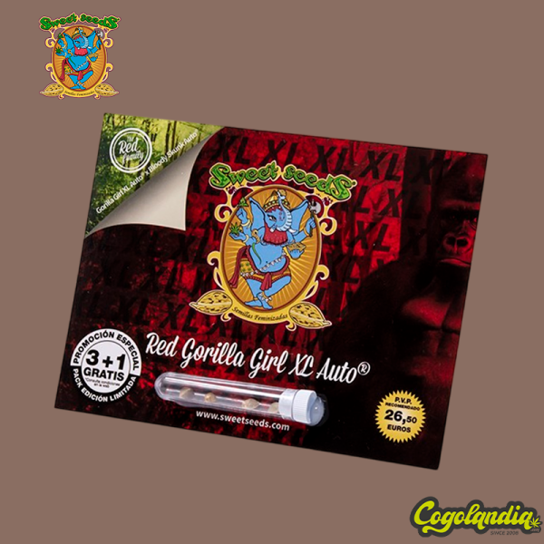 Red Gorilla Girl XL Auto - Sweet Seeds