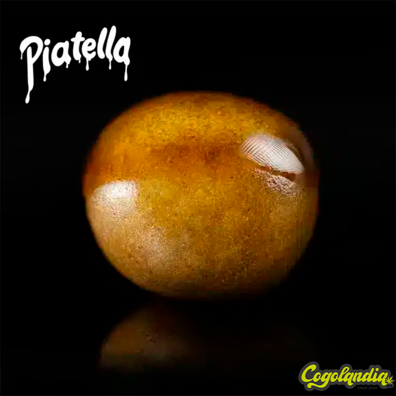 Resina Piatella CBD - OnlyCBD