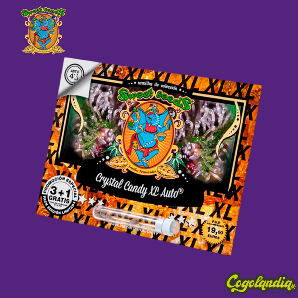 Crystal Candy XL Auto - Sweet Seeds Semillas autoflorecientes