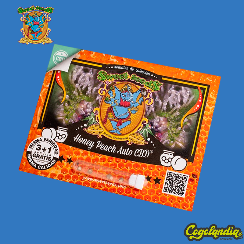Honey Peach Auto CBD - Sweet Seeds