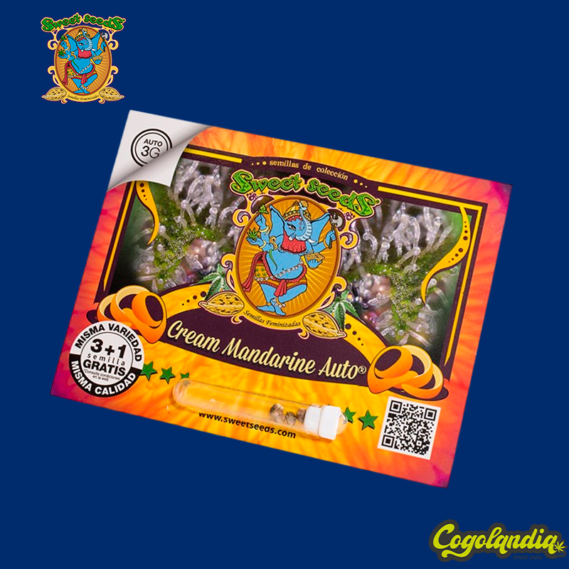 Cream Mandarine XL Auto - Sweet Seeds