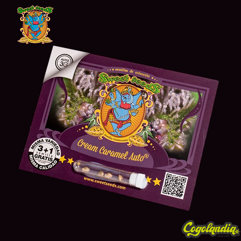 Cream Caramel Auto - Sweet Seeds