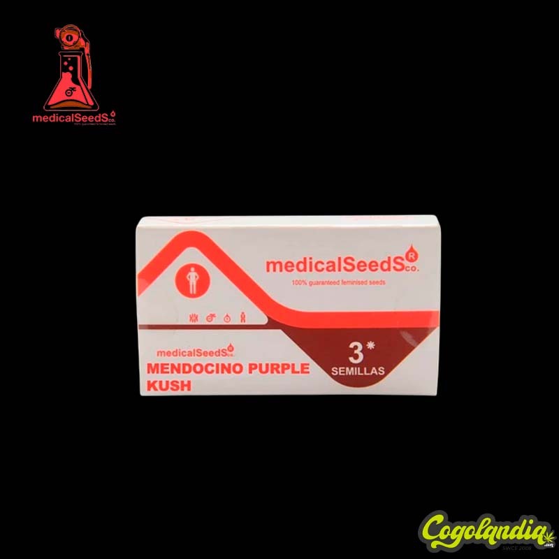 Mendocino Purple Kush - Medical Seeds 