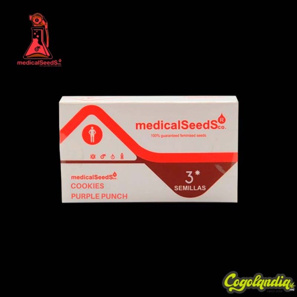 Cookies Purple Punch - Medical Seeds