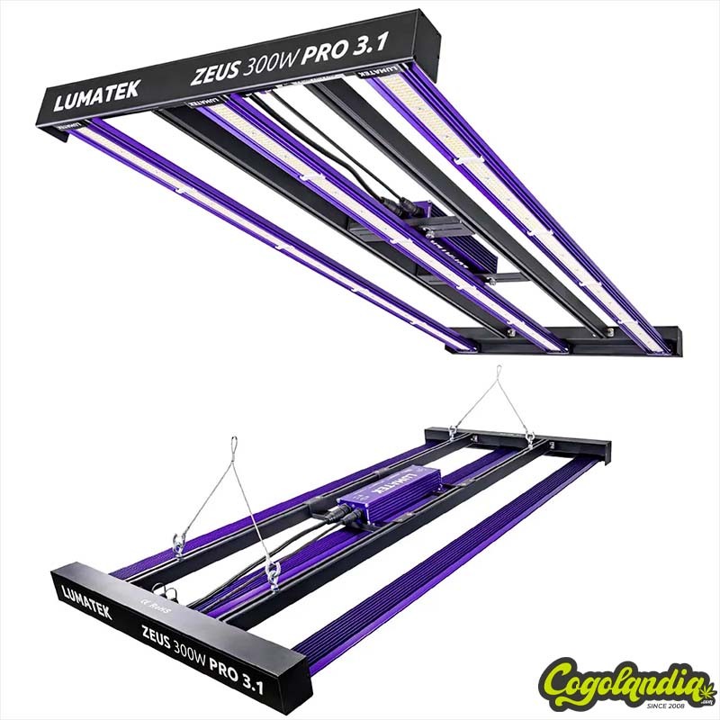 Sistema LED Zeus 300w 3.1 - Lumatek