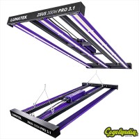 Sistema LED Zeus 300w 3.1 - Lumatek