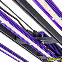 Sistema LED Zeus 300w 3.1 - Lumatek