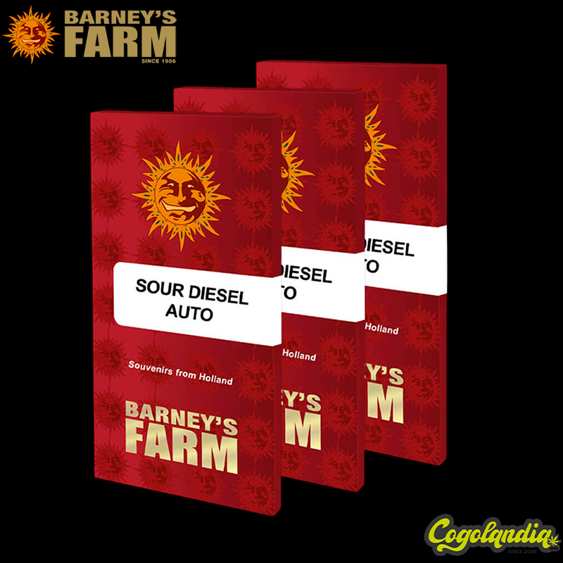 Sour Diesel Auto - Barney's Farm Sour Diesel Auto - Barney's Farm