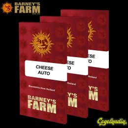 Cheese Auto - Barney's Farm Cheese Auto - Barney's Farm
