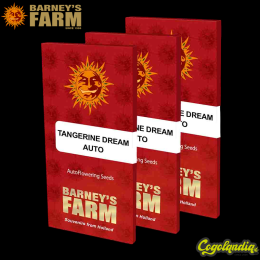 Tangerine Dream Auto -... Tangerine Dream Auto - Barney's Farm