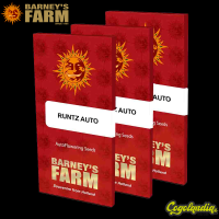 Runtz Auto - Barney's Farm