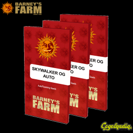 Skywalker OG Auto - Barneys... Skywalker OG Auto - Barneys Farm