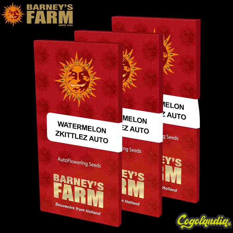 Watermelon Zkittlez Auto - Barney's Farm