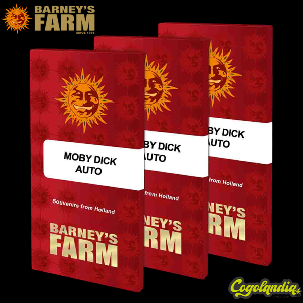 Moby Dick Auto - Barney's Farm