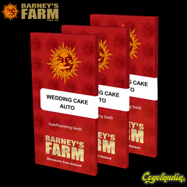 Wedding Cake Auto - Barneys Farm