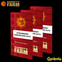 Strawberry Cheesecake Auto - Barneys Farm