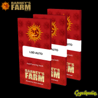 LSD Auto - Barney's Farm Semillas autoflorecientes