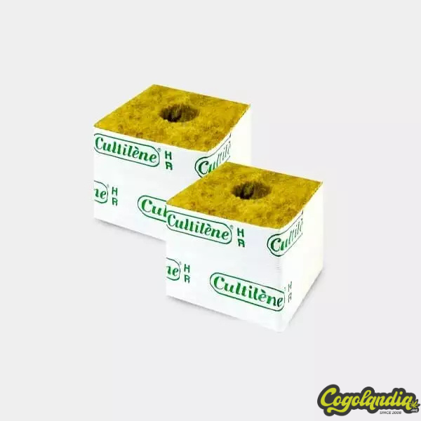 Tacos Lana de Roca 5 x 5 x 5 cm - Cultiline 