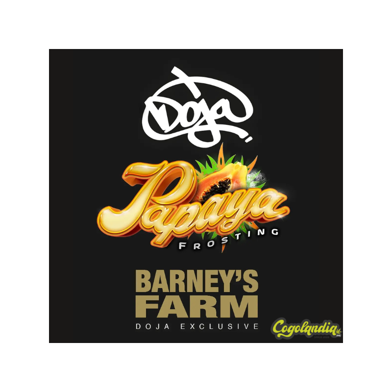 Papaya Frosting - Barney's Farm Semillas Feminizadas