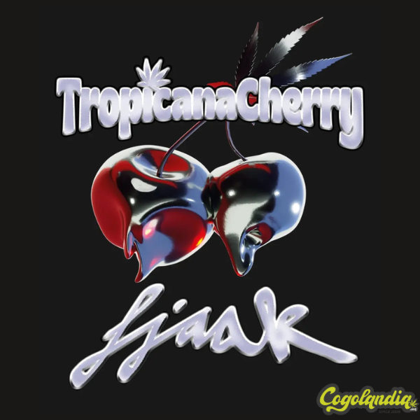 Tropicana Cherry - Barney's Farm 