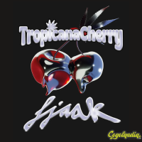 Tropicana Cherry - Barney's Farm 