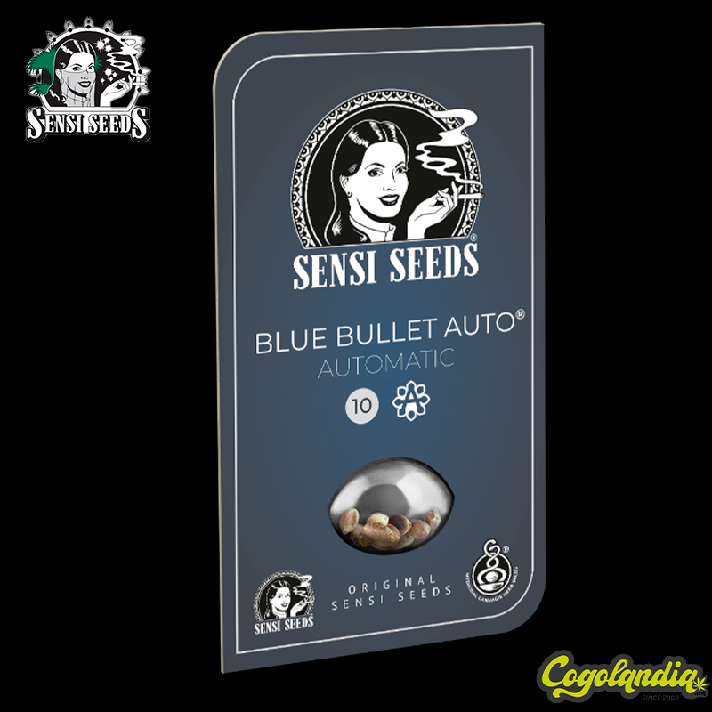 Blue Bullet Auto -