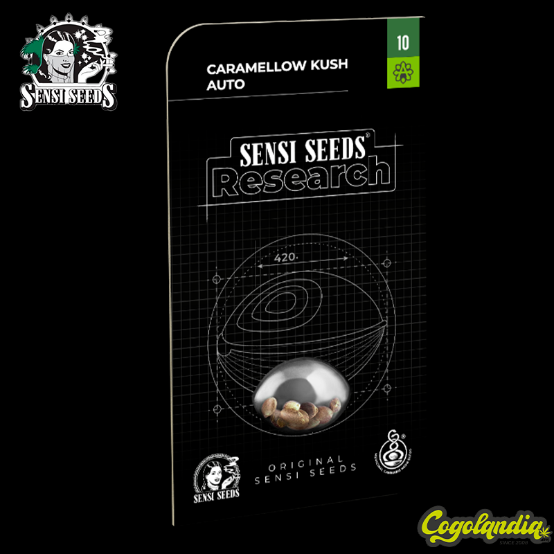 Caramellow Kush Auto - Sensi Seeds