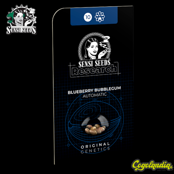 Blueberry Bubblegum Auto - Sensi Seeds