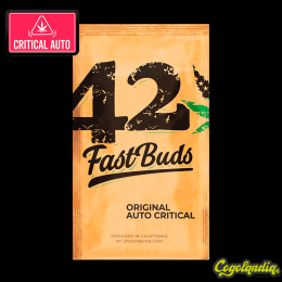Critical Auto - FastBuds