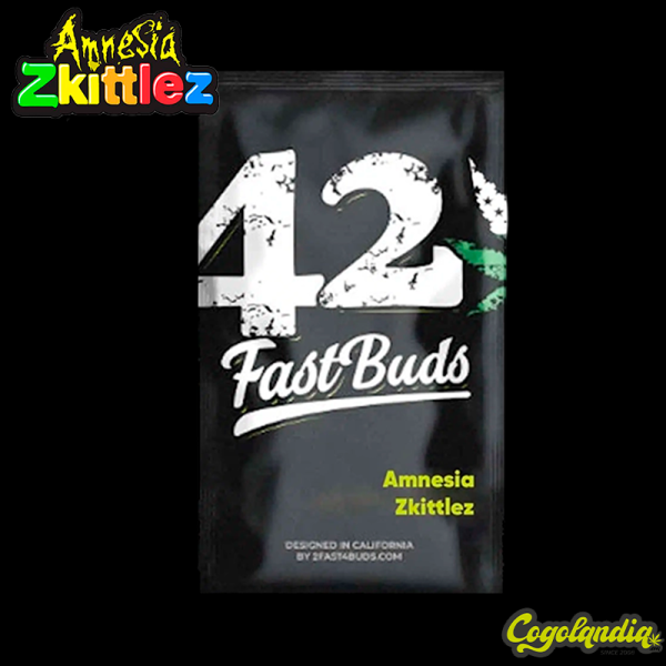 Amnesia Zkittlez Auto - Fastbuds