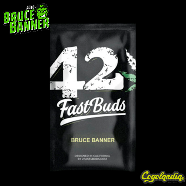 Bruce Banner Auto - 420 Fastbuds