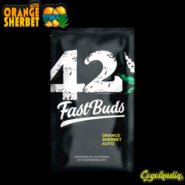 Orange Sherbet Auto - FastBuds